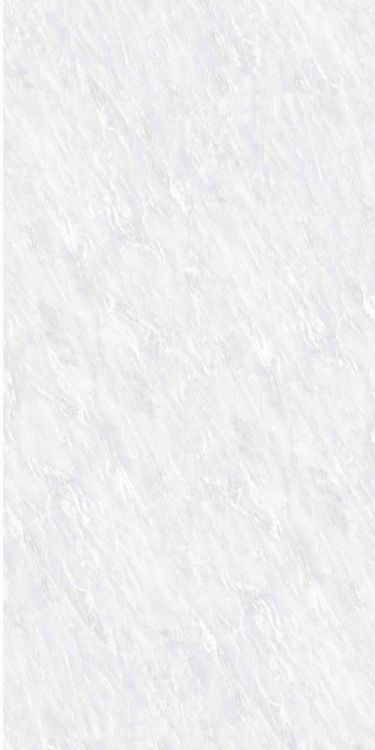 OL Vivid White Polished 24 x 48